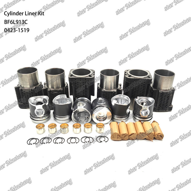 새로운 상태의 디젤 엔진 타입 라인어 키트 BF6L913C 0423-1519