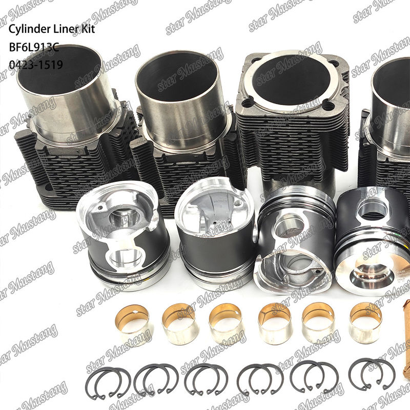 새로운 상태의 디젤 엔진 타입 라인어 키트 BF6L913C 0423-1519