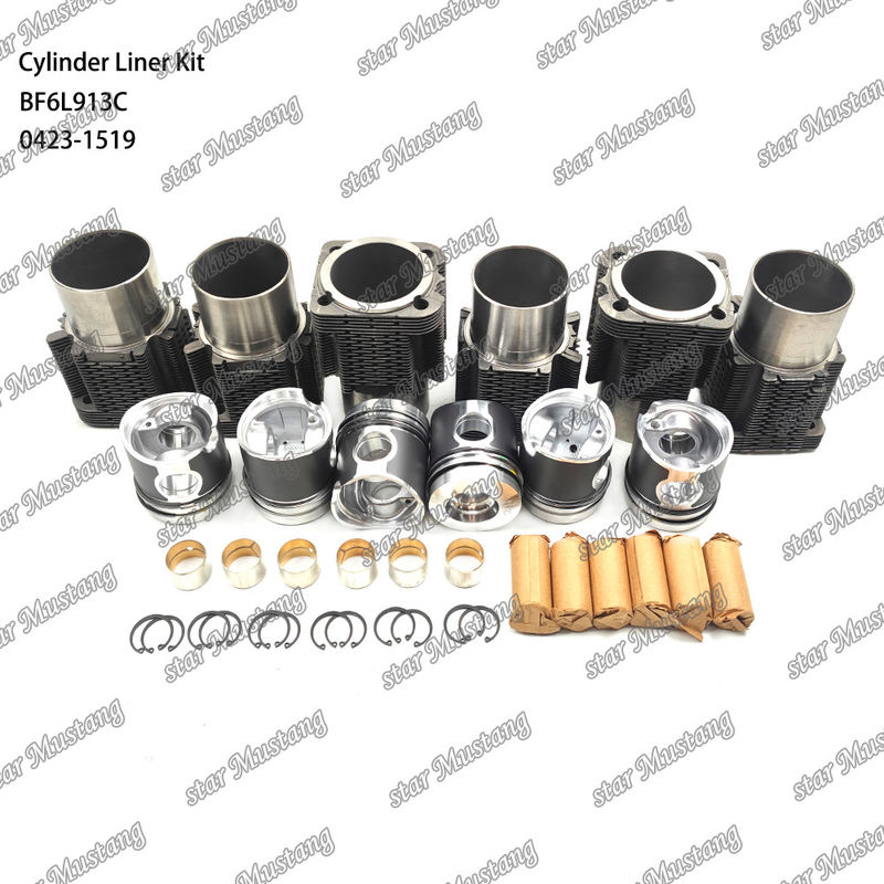 새로운 상태의 디젤 엔진 타입 라인어 키트 BF6L913C 0423-1519