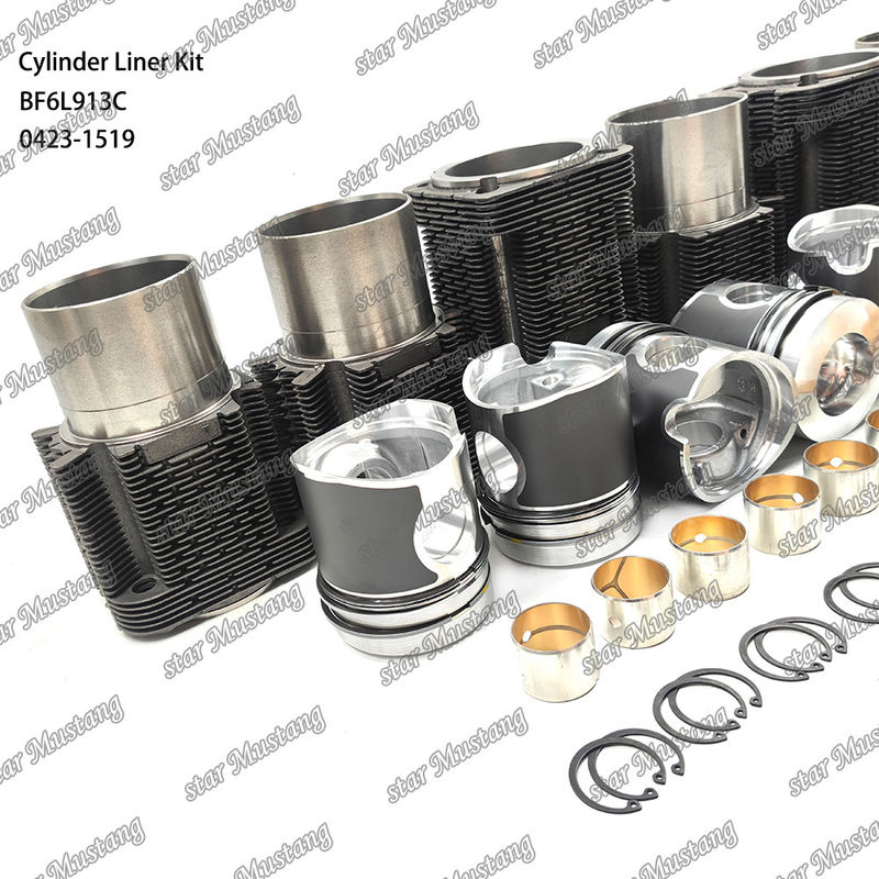 새로운 상태의 디젤 엔진 타입 라인어 키트 BF6L913C 0423-1519