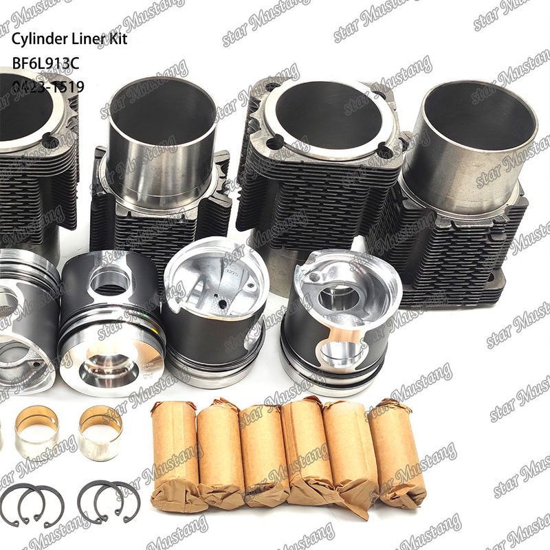 새로운 상태의 디젤 엔진 타입 라인어 키트 BF6L913C 0423-1519